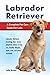 Labrador Retriever: Labrador Retriever breeding, diet, rescue, adoption, where to buy, cost, health, lifespan, types, care, and more included! A Complete Pet Care Guide For Labs