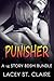 PUNISHER (14 STORY BDSM BUNDLE)