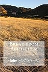 Bread from Bethlehem: 217 Life-Changing Devotionals about hope, home, and healing