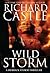Wild Storm (Derrick Storm, #5)