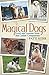 Magical Dogs: Love and Lessons from our Canine Companions
