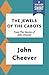 The Jewels of the Cabots (Kindle Single) by John Cheever