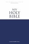 NIV, Economy Bible