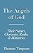 The Angels of God: Their Nature, Character, Ranks and Ministries