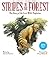 Stripes in the Forest : the...