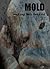 Mold