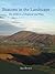 Beacons in the Landscape: T...