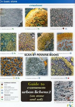 Guide to Common Urban Lichens: On Stones and Soil Pt. 2 (Paperback)