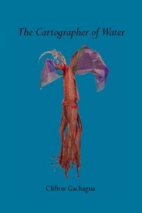 The Cartographer of Water (Unknown Binding)