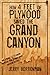 How Four Feet of Plywood Saved the Grand Canyon