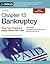 Chapter 13 Bankruptcy: Keep Your Property & Repay Debts Over Time