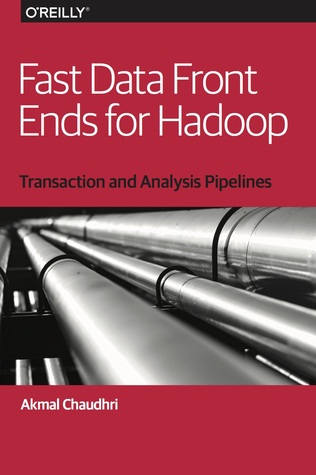 Fast Data Front Ends for Hadoop (ebook)
