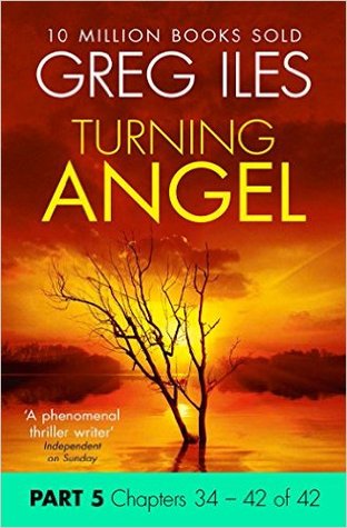 Turning Angel: Part 5, Chapters 34 to 42 (Kindle Edition)