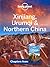 Lonely Planet Xinjiang, Urumqi & Northern China (Travel Guide Chapter)