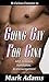 Going Gay for Gina (Bi-Curious Fantasies Book 3)