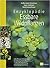 Enzyklopädie essbare Wildpflanzen. 2000 Pflanzen Mitteleuropas. Bestimmung, Sammeltipps, Inhaltsstoffe, Heilwirkung, Verwendung in der Küche
