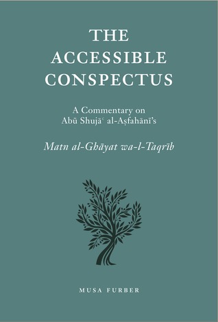The Accessible Conspectus (Paperback)
