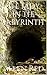 The Lady in the Labyrinth (Creatures of Perverted Myth Book 2)