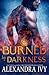 Burned by Darkness (Dragons of Eternity, #1)