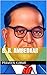 B. R. Ambedkar: Illustrated