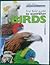 First Field Guide To Australian Birds
