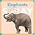 Elephants Spray (Amicus Ink Boardbooks)