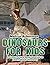 Dinosaurs for Kids: A Child...