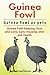 Guinea Fowl. Kindle. Guinea...