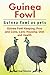 Guinea Fowl. Kindle. Guinea Fowl keeping pros and cons, care,... by Roger Rodendale