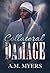 Collateral Damage (Hidden Scars, #2)