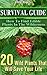 Survival Guide: How To Find Edible Plants In The Wilderness: 20 Wild Plants That Will Save Your Life!: (how to survive natural disaster, how to survive ... forest) ((survival guide, survival pantry))