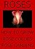 Rose Gardening how to grow ...