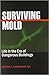 Surviving Mold: Life in the Era of Dangerous Buildings
