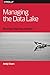 Managing the Data Lake