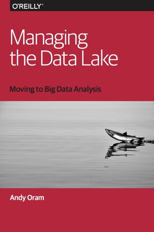 Managing the Data Lake