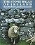 Stone Walls of Ireland by Alan Macweeney