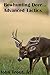 Bowhunting Deer: Advanced T...
