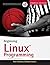Beginning Linux Programming