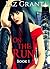 On the Run: Book 1: Dark Action Romance Paranormal Thriller Erotica Sex Stories (Adventure Demon Humor International Interracial Mystery Short Stories) (On the Run Series)