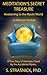 Meditation's Secret Treasure, Awakening to the Mystic World (American Tao #1)