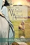The Walls of Arad