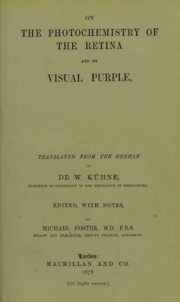 On the Photochemistry of the Retina: And on Visual Purple (Hardcover)