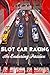 Slot Car Racing: An Endurin...