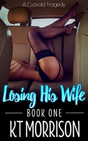 Losing His Wife: Box 1 (Losing His Wife Box Set)