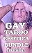 Gay Taboo Erotica Bundle: B...