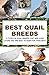 Best Quail Breeds: 10 Types...