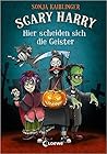 Hier scheiden sich die Geister (Scary Harry, #5)