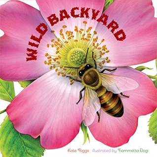 Wild Backyard (Board Book)