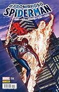 El Asombroso Spiderman #114