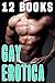 EROTICA GAY: 12 Steamy Stories First Time Bundle Collection Box Set